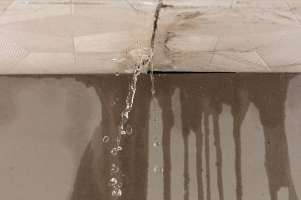 Professional Structural Drying technician working in La Vernia, TX